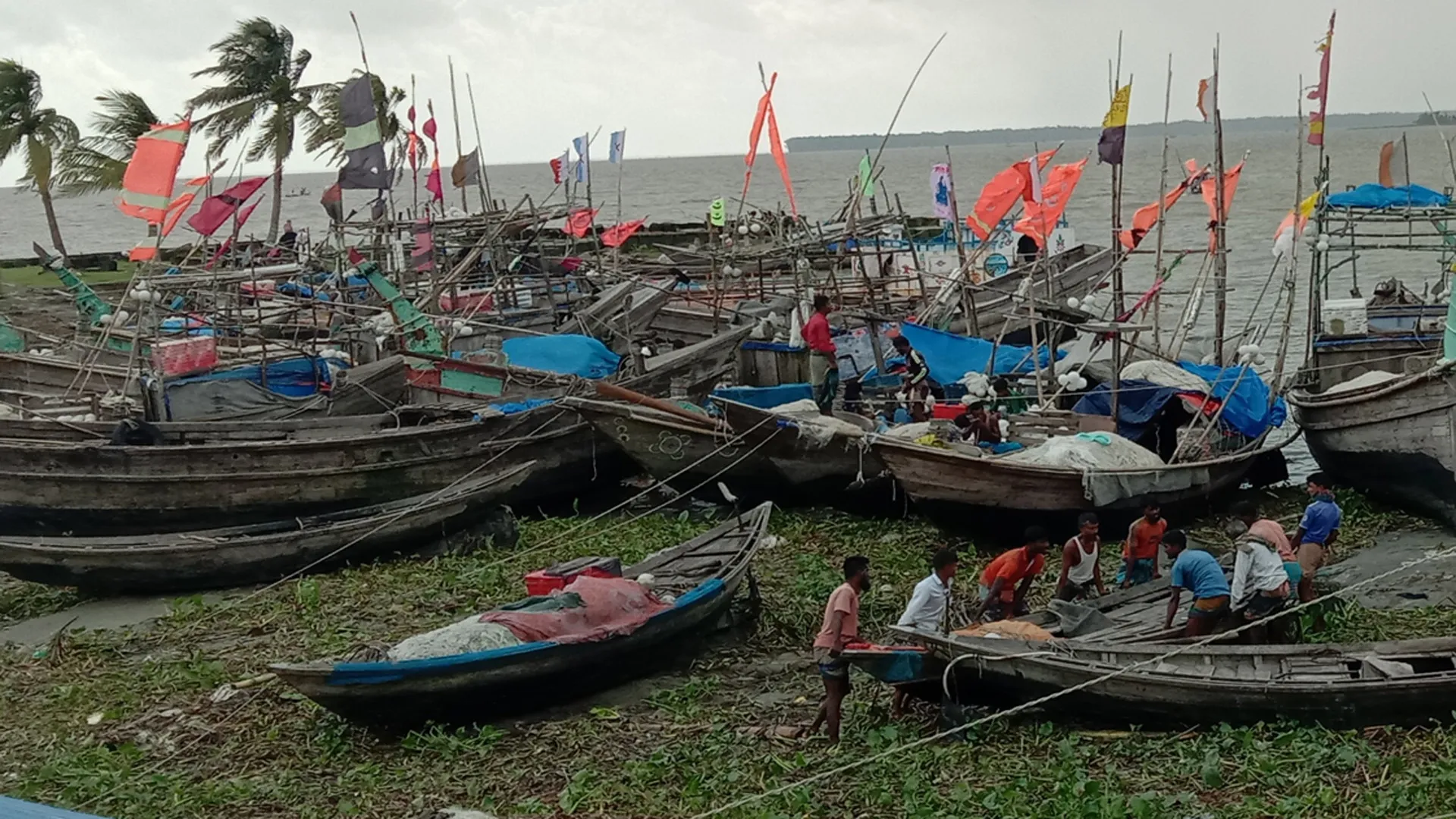 মধ্যরাত থেকে ইলিশ শিকারে ২২ দিনের নিষেধাজ্ঞা